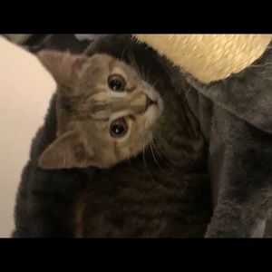 Meet your Posher, Lawrence